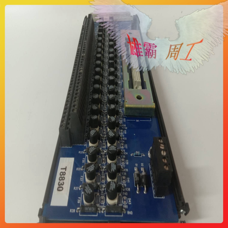 ICS TRIPLEX	T8830  输出模块40通道数字24/48VDC